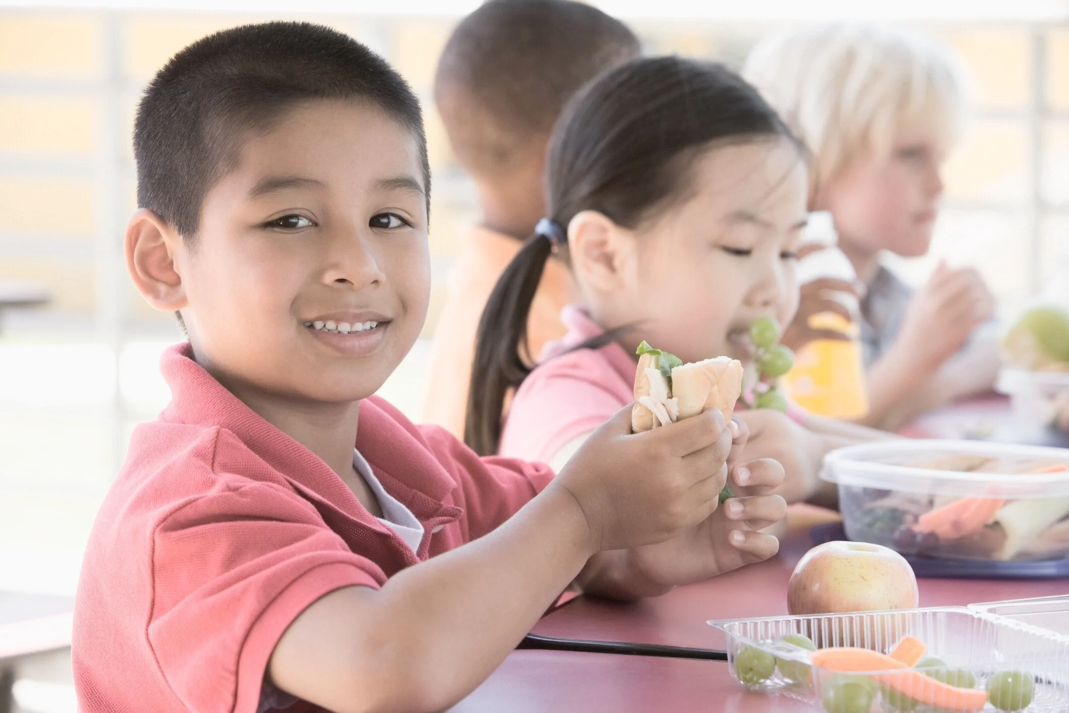 Economic Analysis of Government Contracts