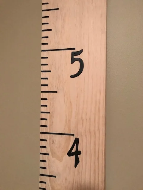pine growth chart2.jpg