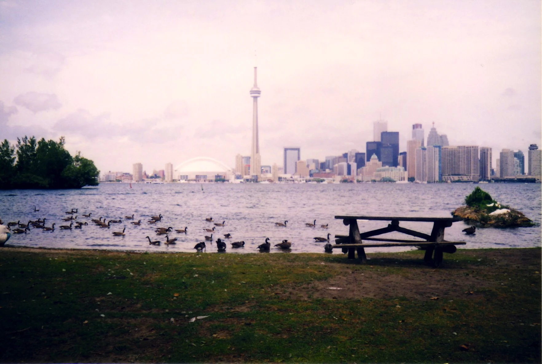 city 02 ( toronto ).jpg