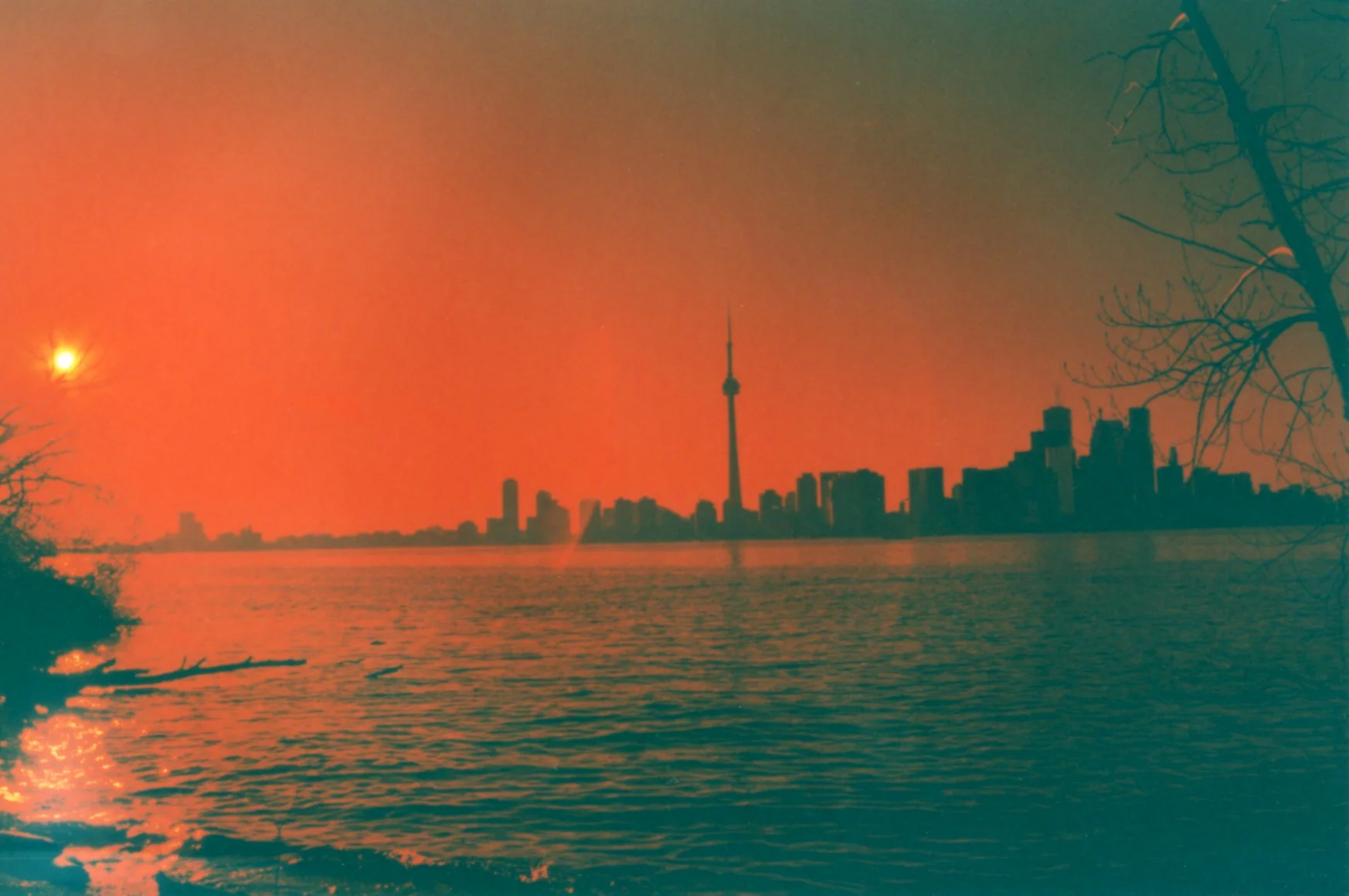 toronto island 12 (1).jpg