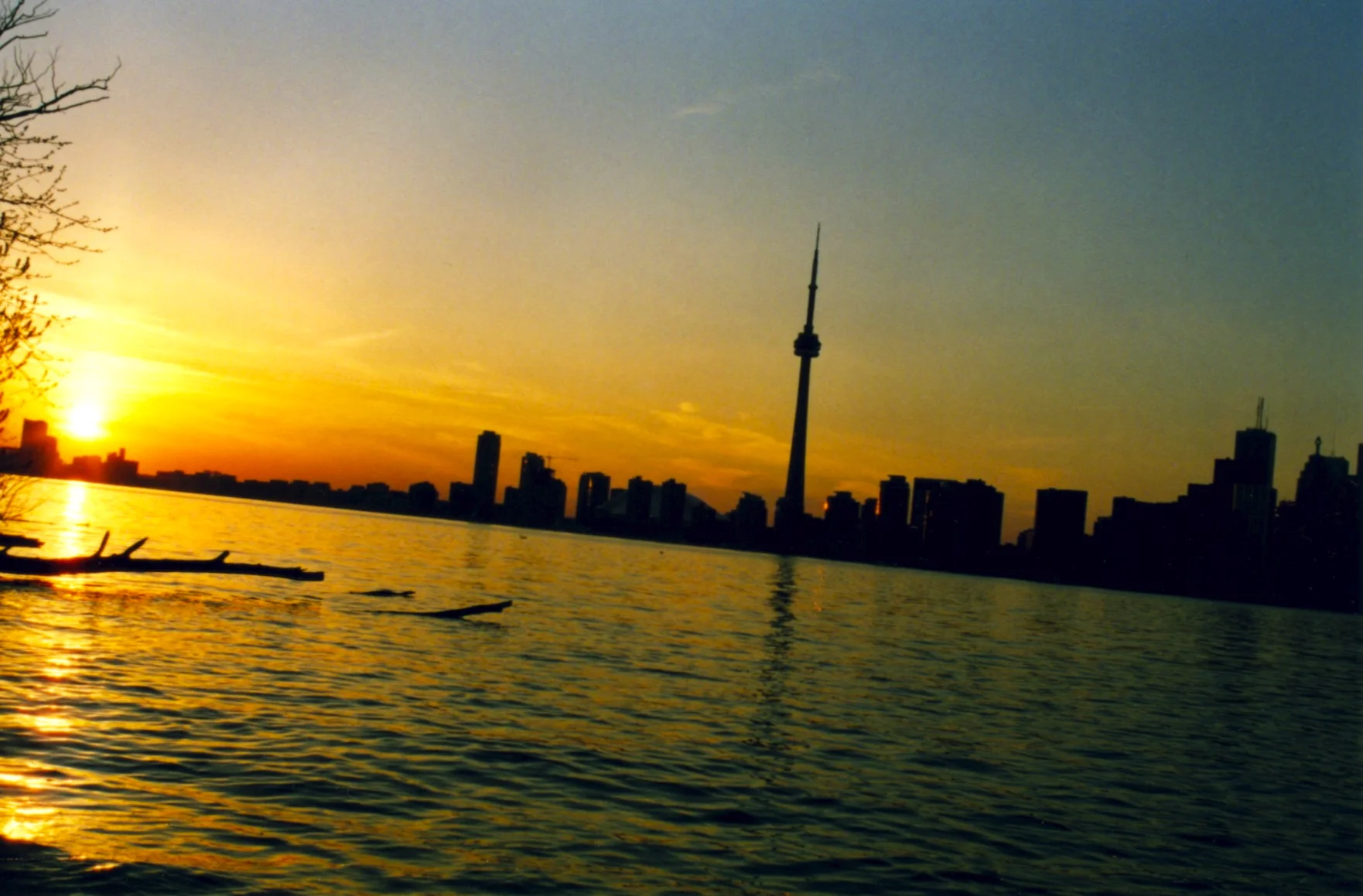toronto island 20.jpg