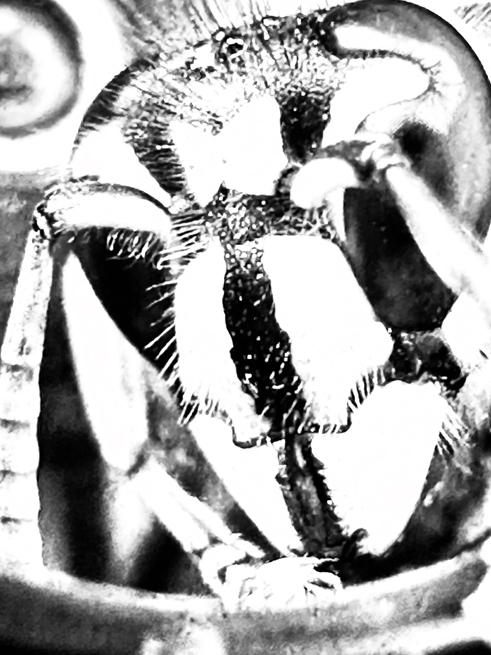 FFD4F3E6-E211-4DFF-9A73-C7B6A27332DE.jpeg