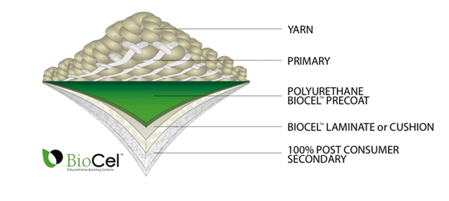 biocel.gif