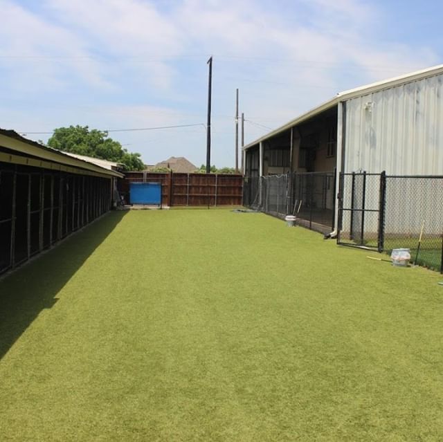 Imagine letting your dogs loose here! #K9Grass #dogturf #wholetthedogsout