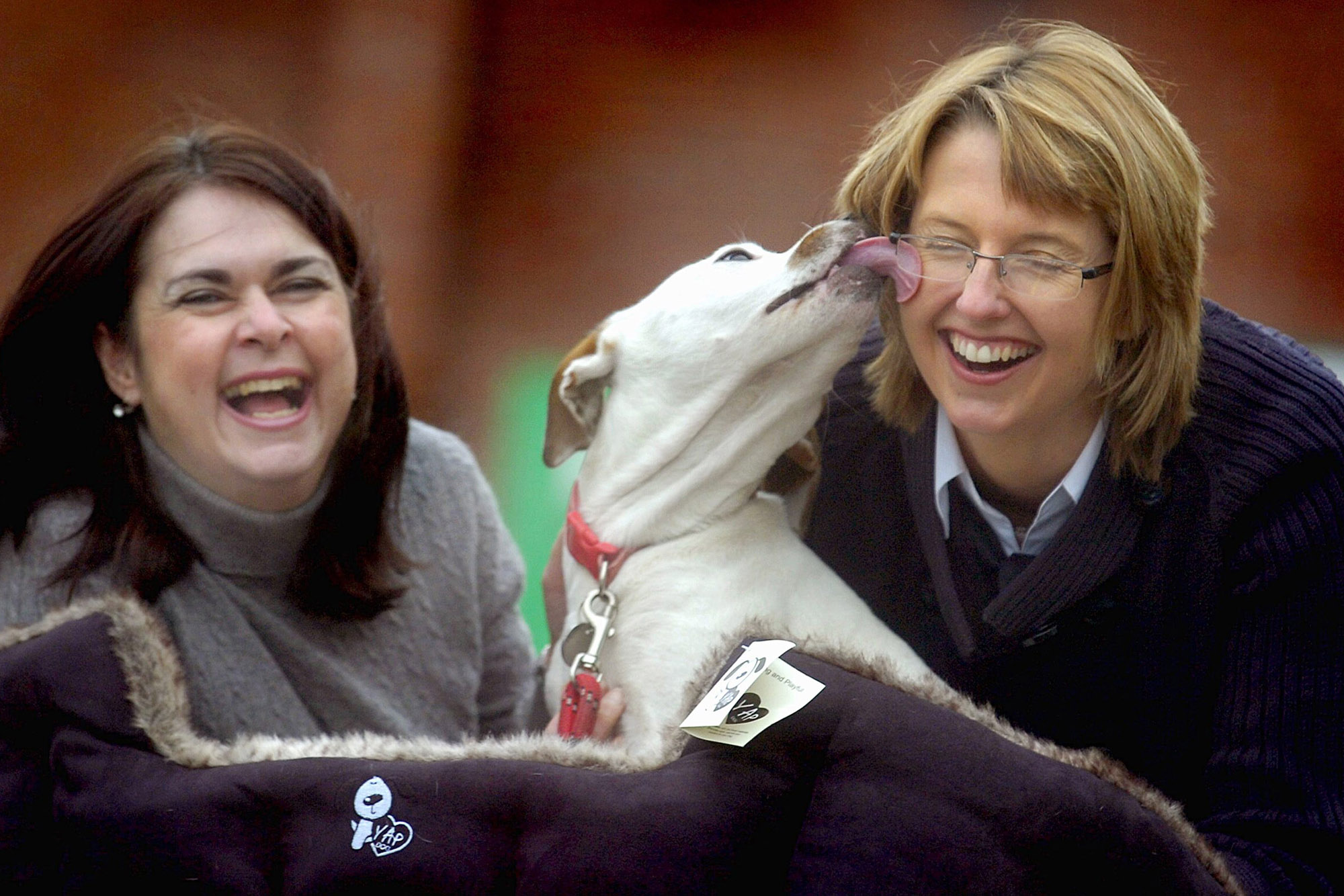 Pets at Home, Stockport