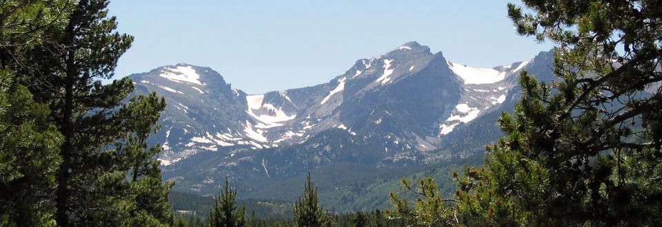 banner6.jpg