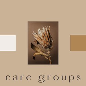 Care Groups.png