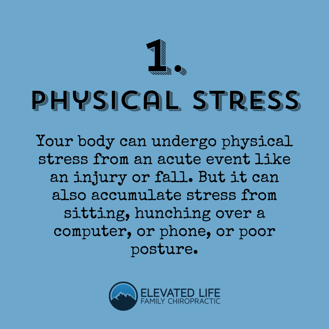 Elevated Life Family Chiropractic 