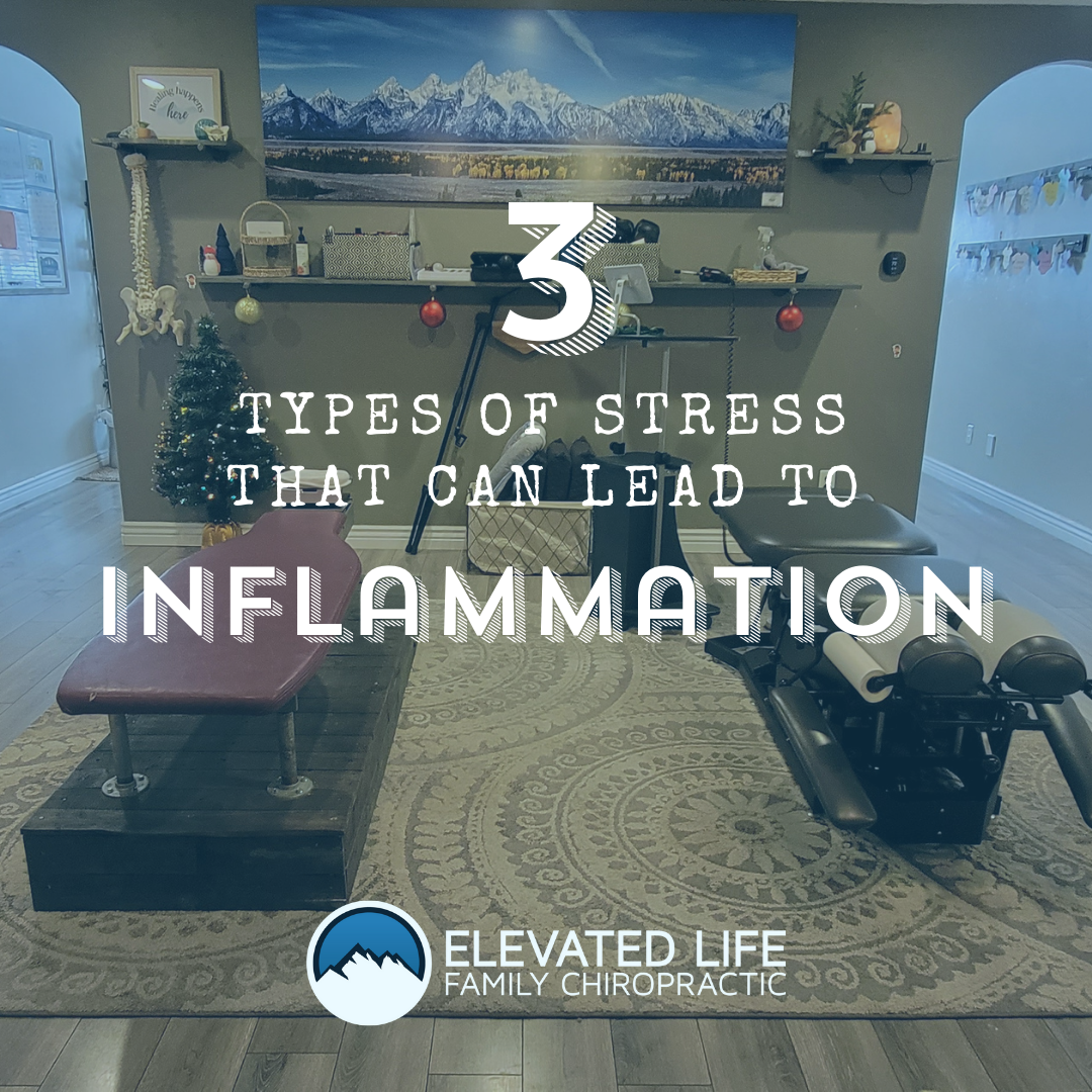 Elevated Life Family Chiropractic