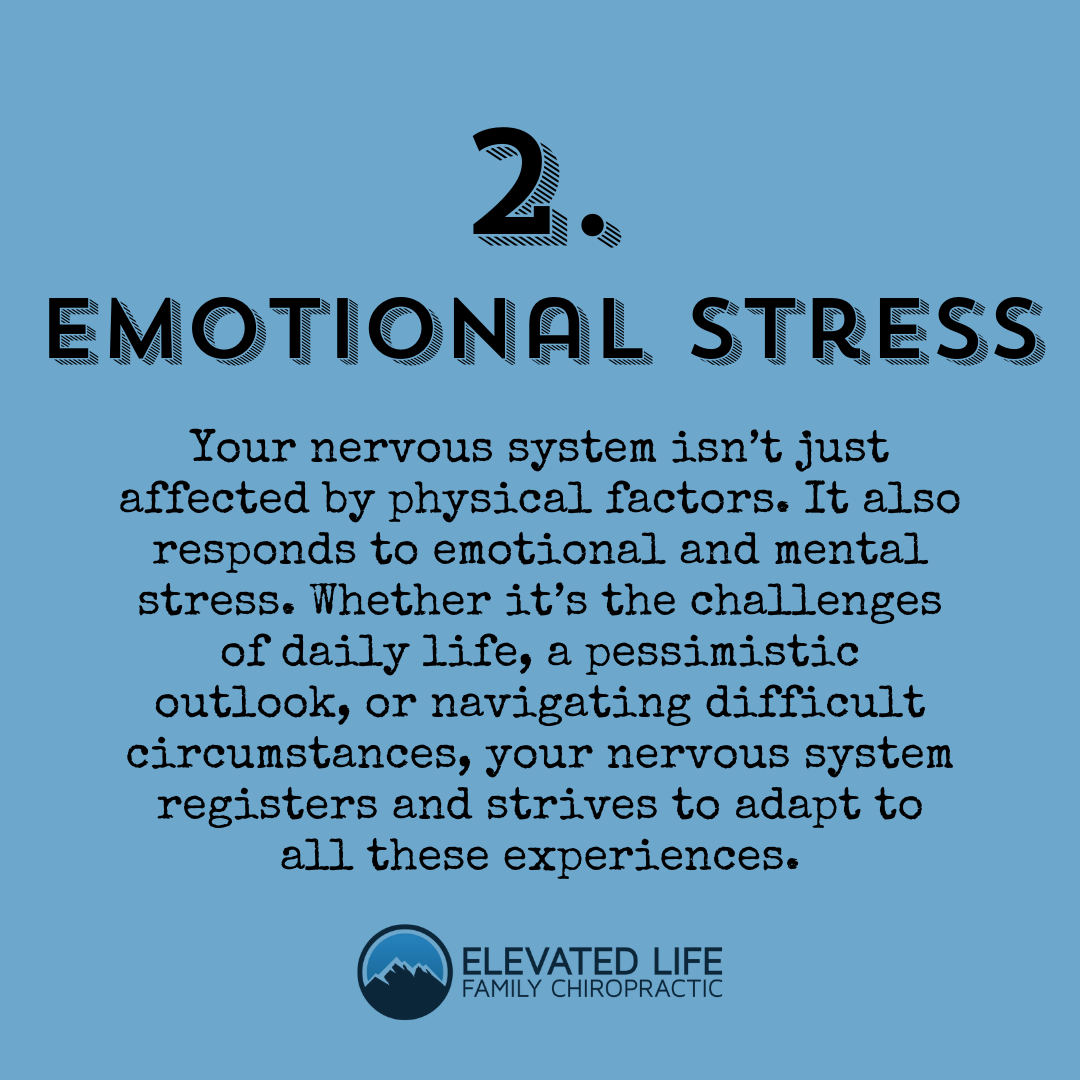 Elevated Life Family Chiropractic