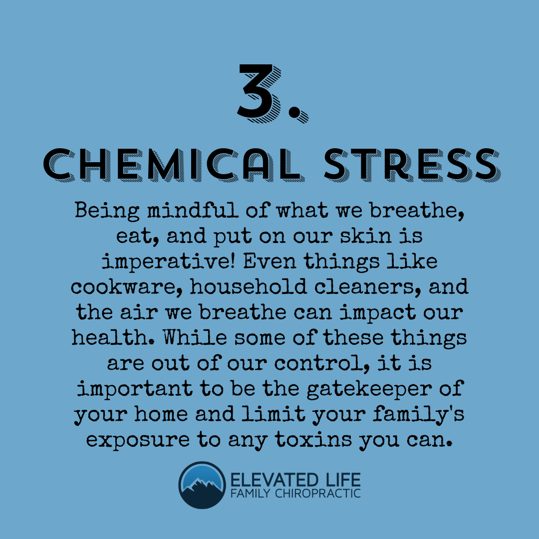 Elevated Life Family Chiropractic