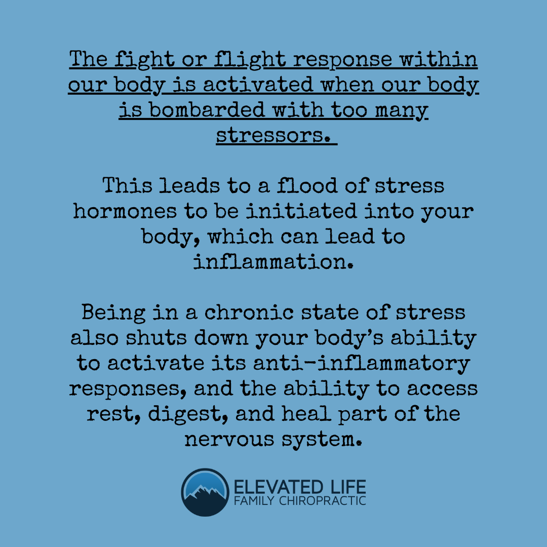 Elevated Life Family Chiropractic