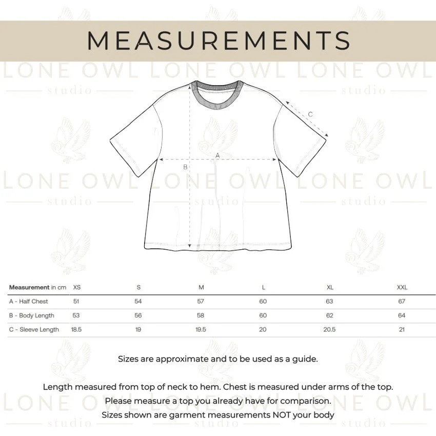 Measurements Boxy Nova.jpg