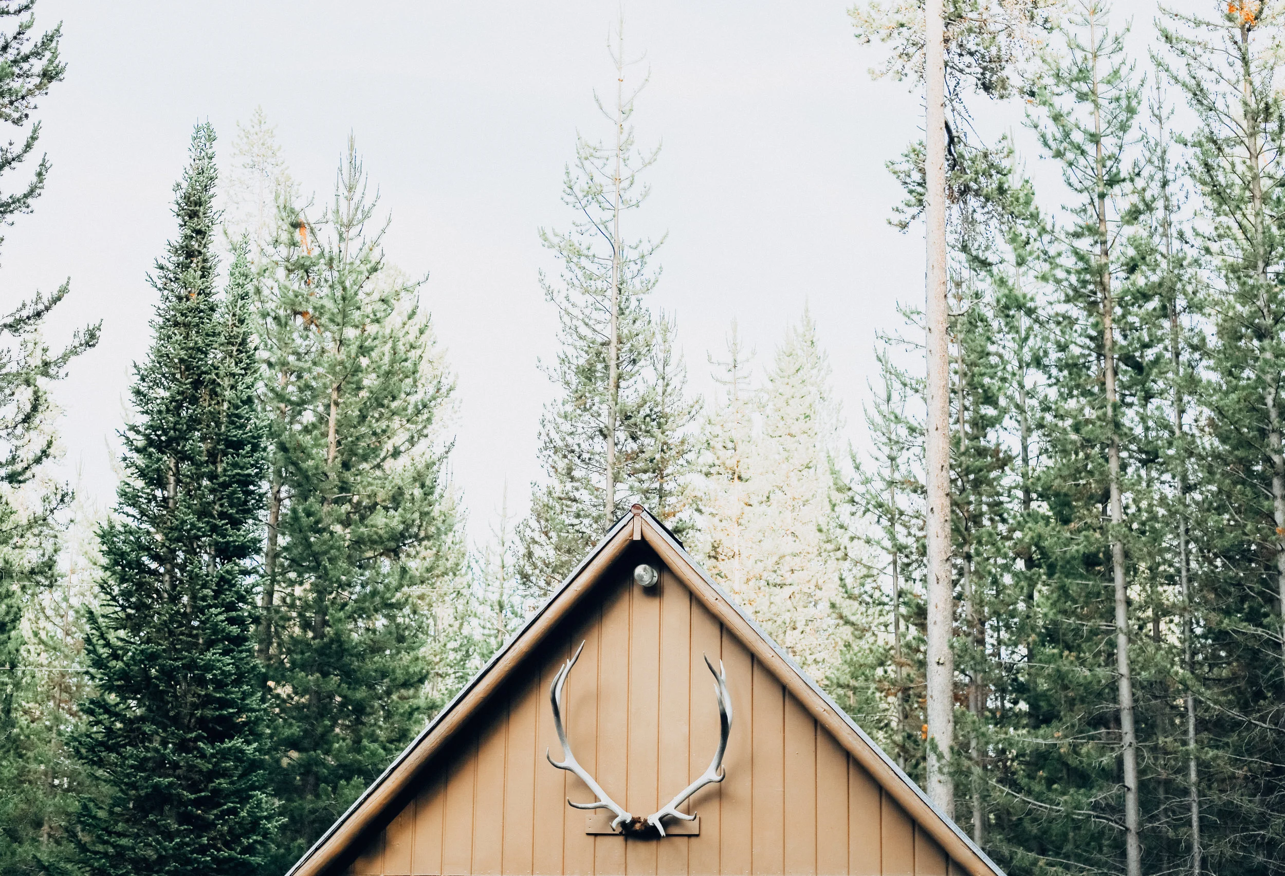 Paradise Valley Montana Outdoor Lover’s Cabin