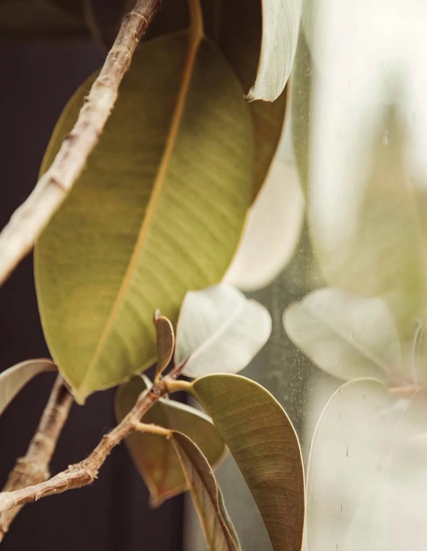 Happy Earth Day (today and every day)!! 🌱

Proud to celebrate as an eco-conscious salon + spa, because beauty should feel good and do good. 🫶🏻