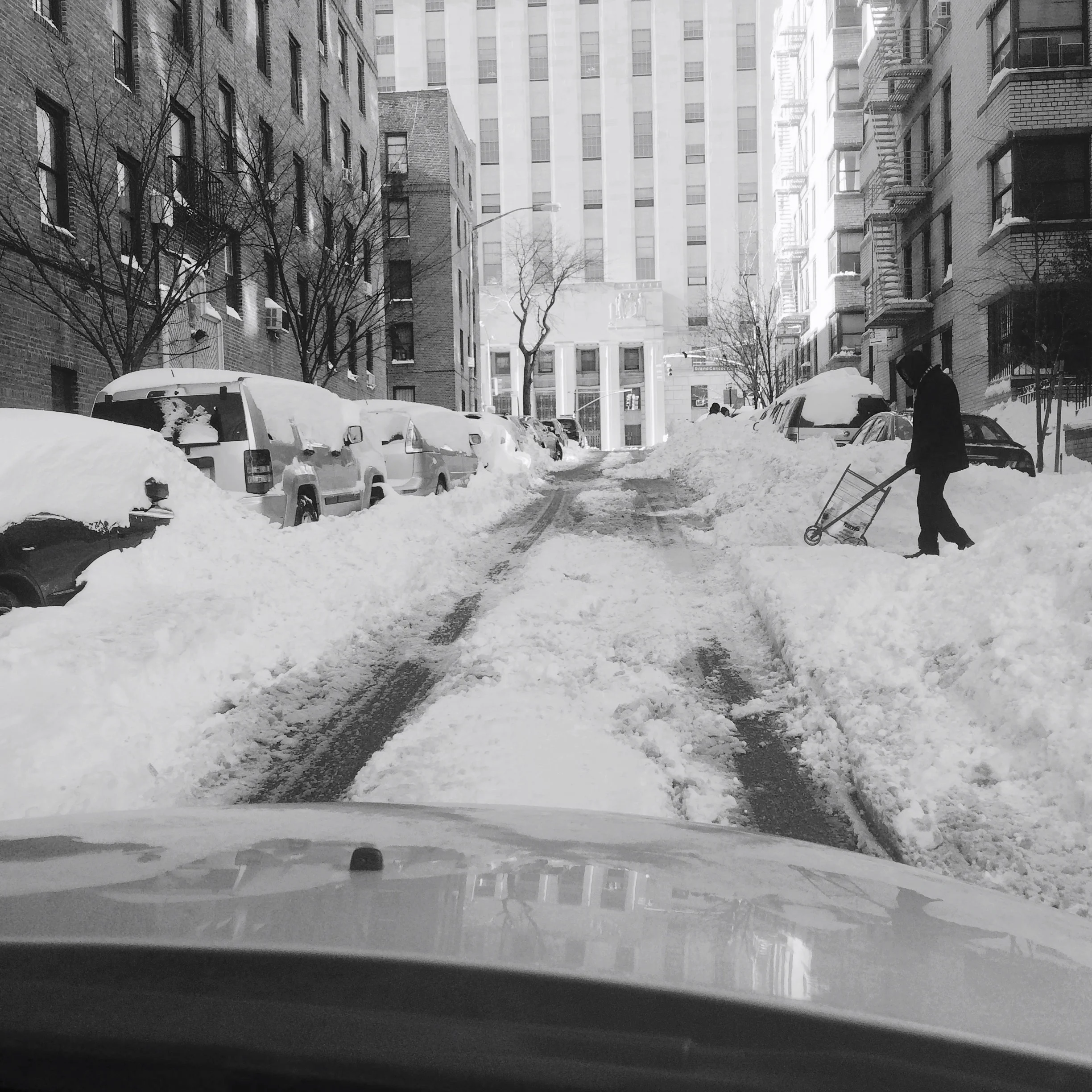 Bronx Winter