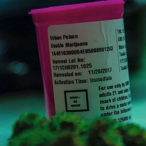 drug-tests-employment-screening.jpg