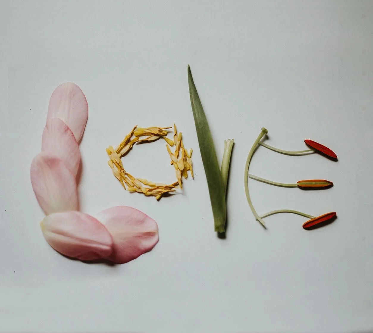 ✨Valentines Day at Andina✨
 Saturday February 14th
  5pm - 9pm

🤤Celebrate Valentine&rsquo;s Day with a three-course prix fixe menu featuring Andina favorites alongside Valentine&rsquo;s Day specials.
*Includes a delicious complementary amuse

🍷🦪E