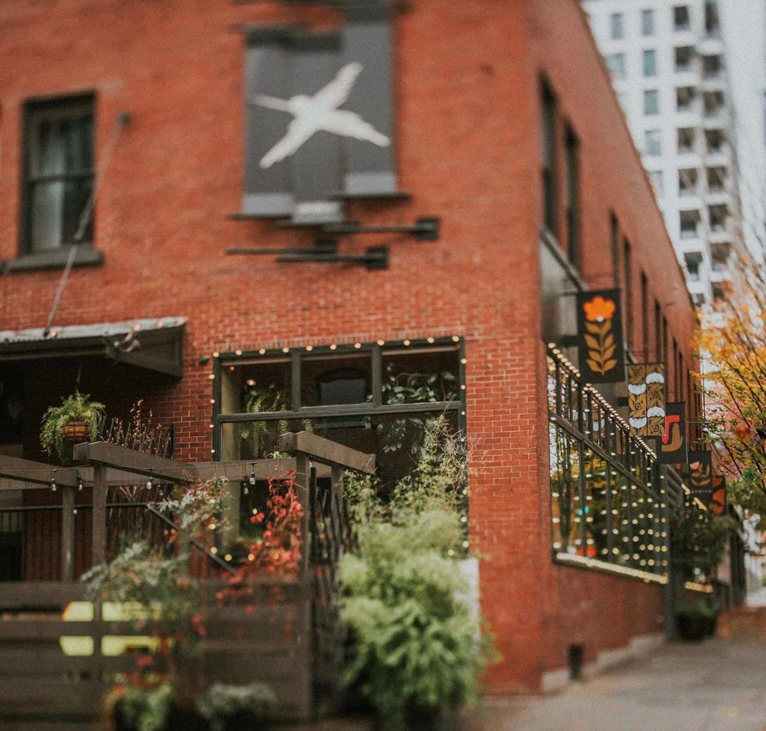 Our beautiful little patio saw us through the toughest chapter of all. 

During COVID, it became a symbol of resilience and community. And as we move into new seasons and iterations of Andina, we&rsquo;re saying farewell to this sweet space with so m