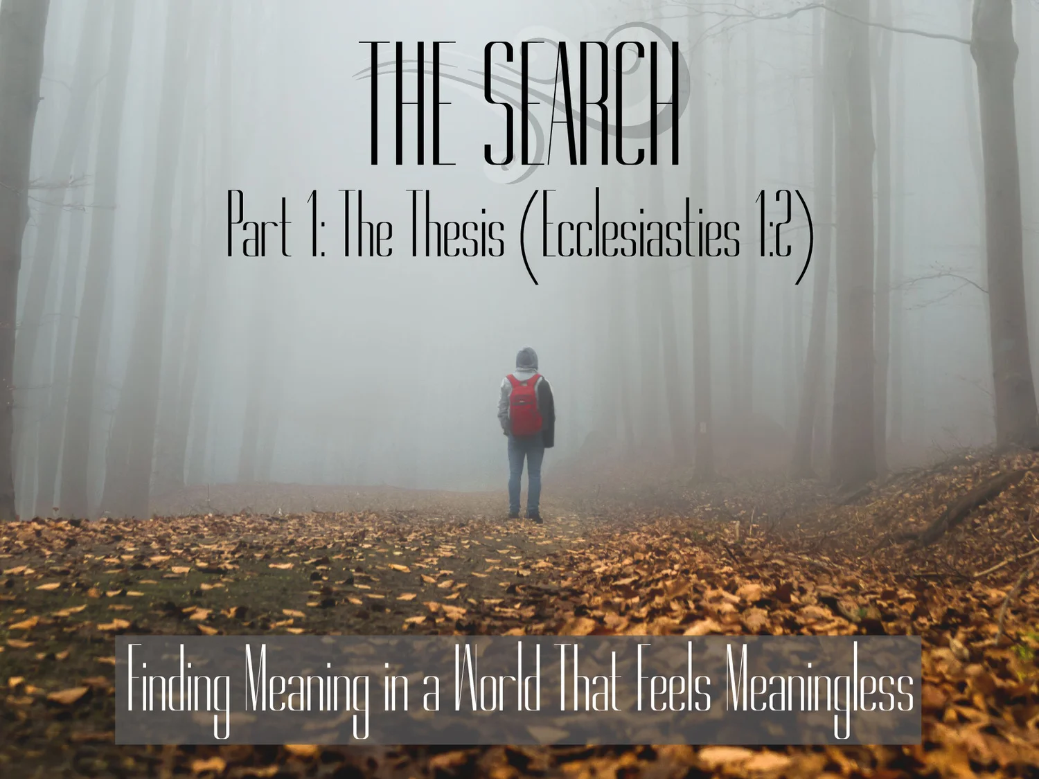 August 29th, 2021 - The Search Part 1: The Thesis
