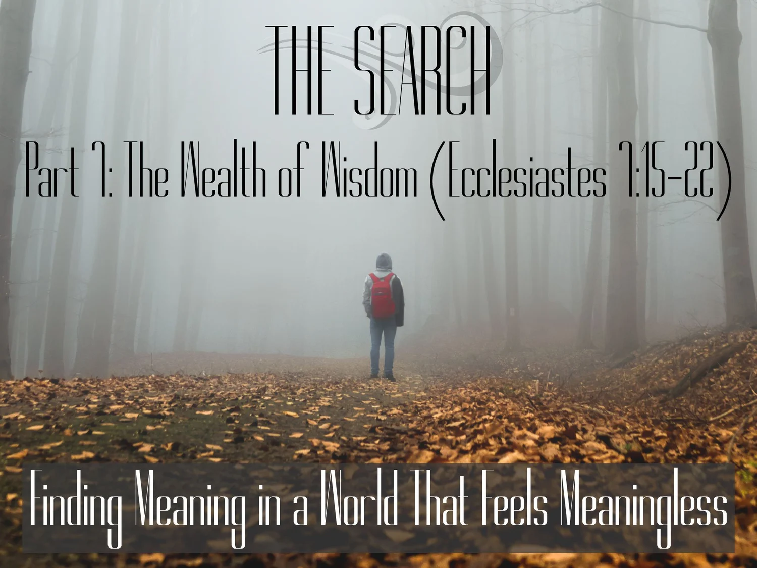 NOVEMBER 14TH, 2021 - THE SEARCH PART 7: THE WEALTH OF WISDOM
