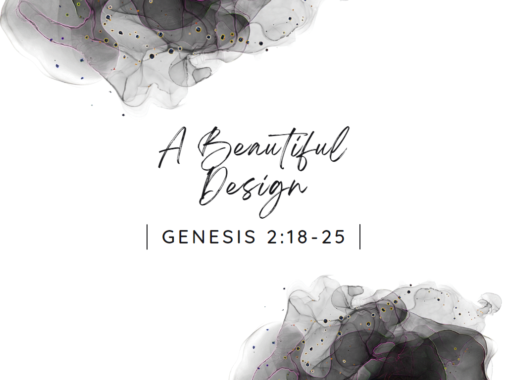 February 19th, 2023 - Beautiful Design