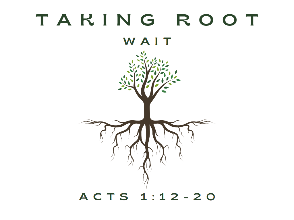 March 12th, 2023 - Taking Root: Wait