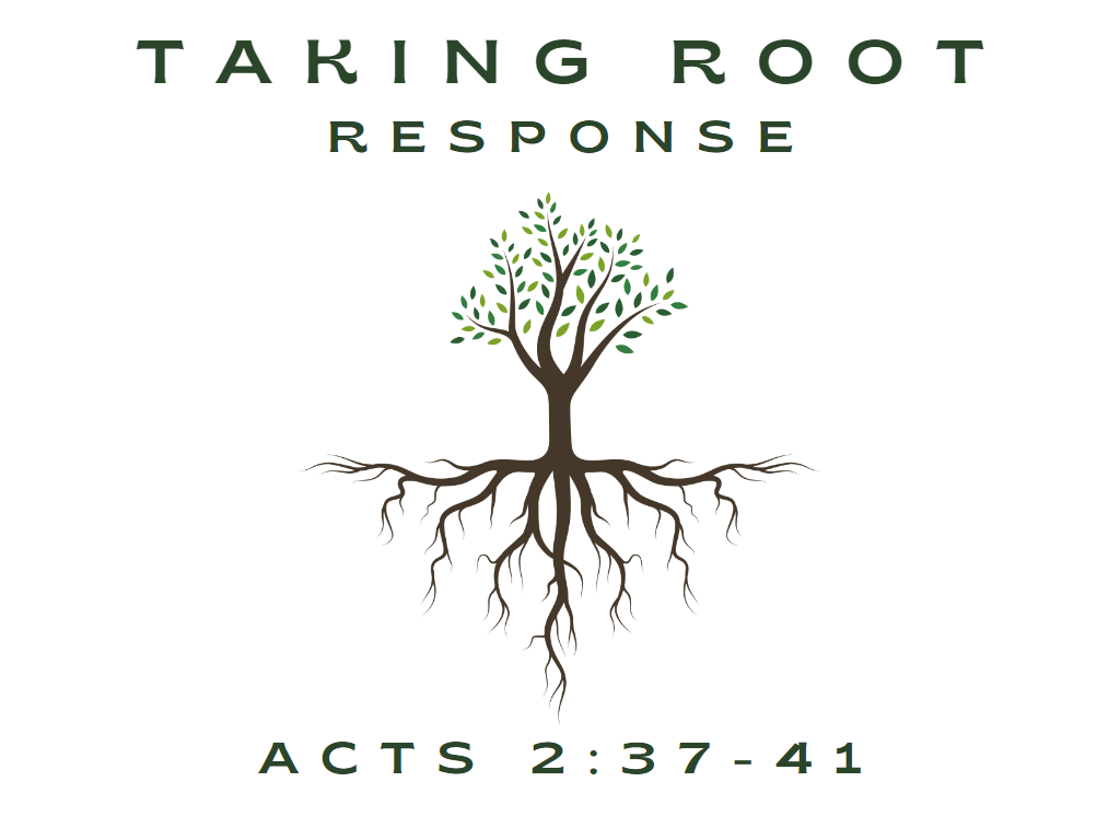 April 2nd, 2023 - Taking Root: Response 