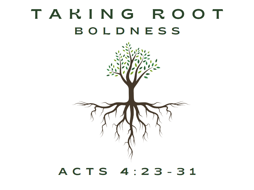 April 30th, 2023 - Taking Root: Boldness