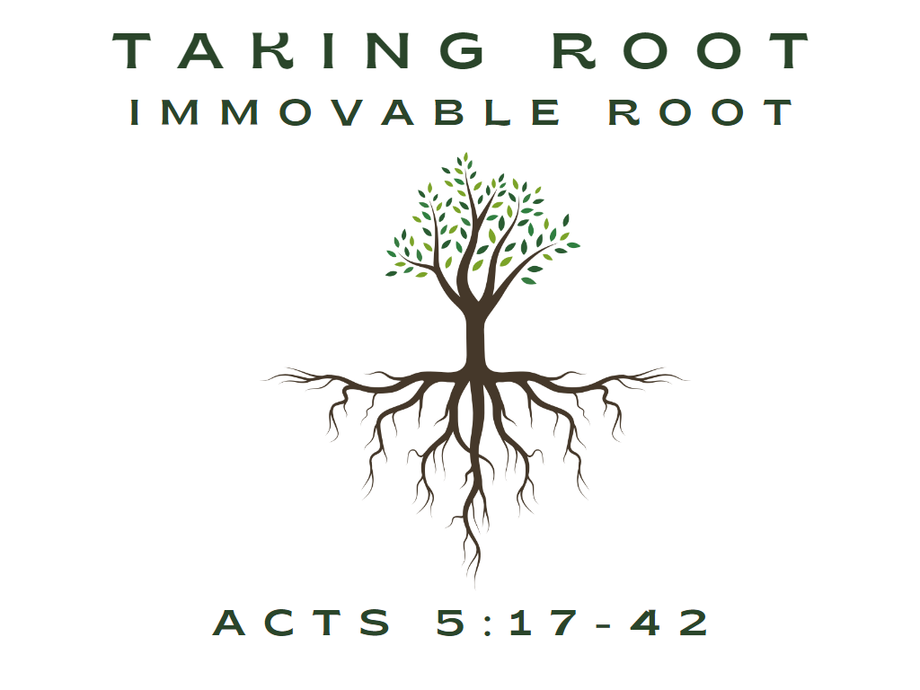 May 28th, 2023 - Taking Root: Immovable Root