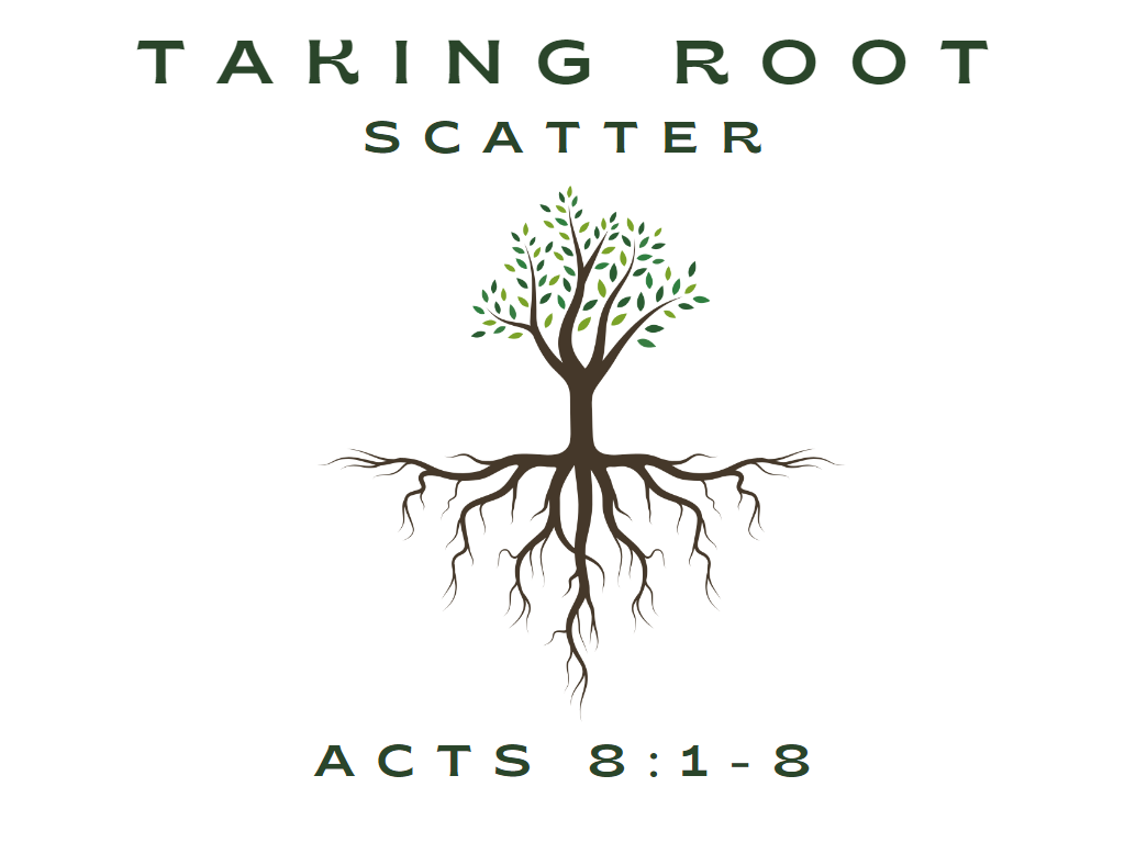 June 25th, 2023 - Taking Root: Scatter