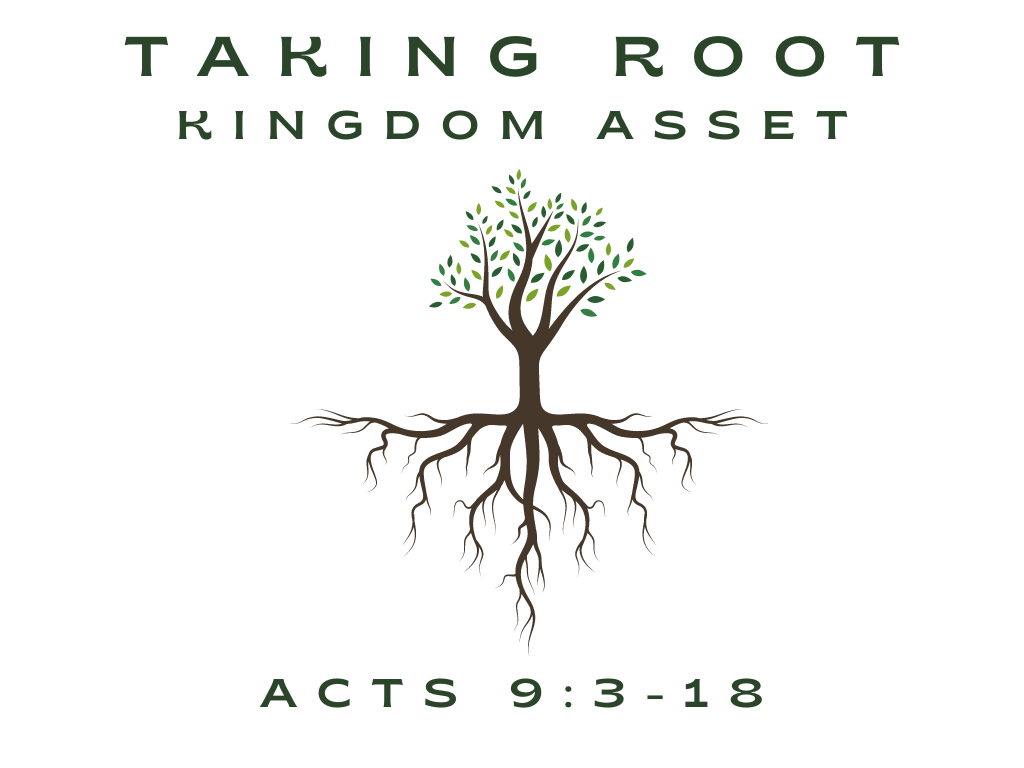 July 30th, 2023 - Taking Root: Kingdom Asset