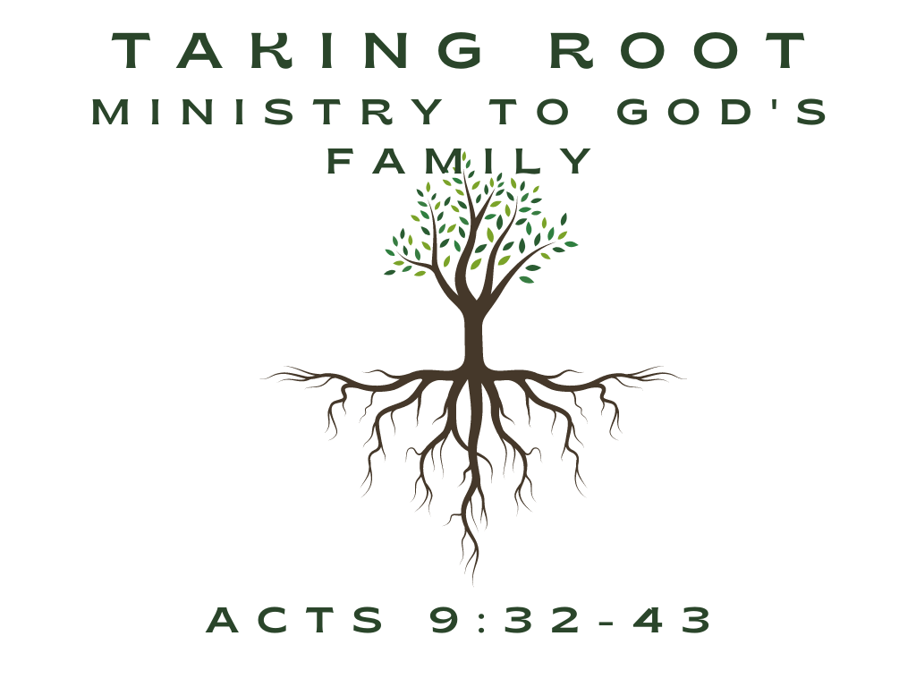 August 13th, 2023 - Taking Root: Ministry to God's Family