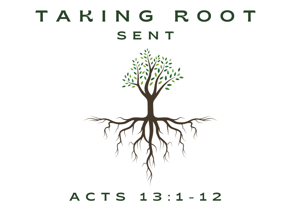 October 8th, 2023 - Taking Root: Sent