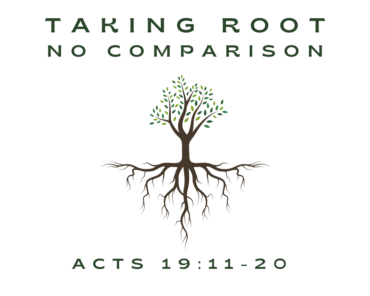 March 10th, 2024 - Taking Root: No Comparison