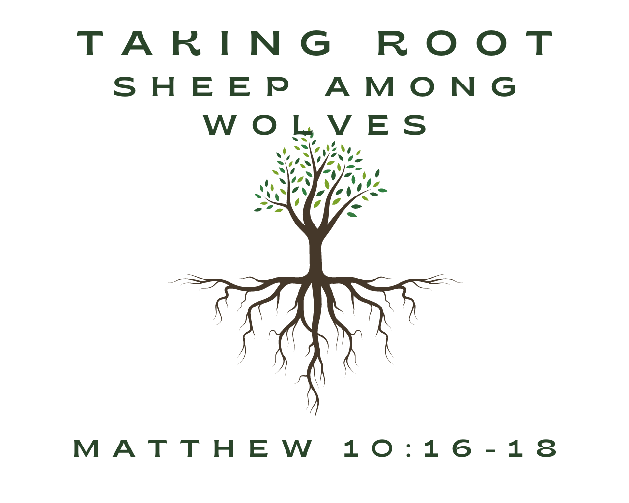 July 28th, 2024 - Taking Root: Sheep Among Wolves 
