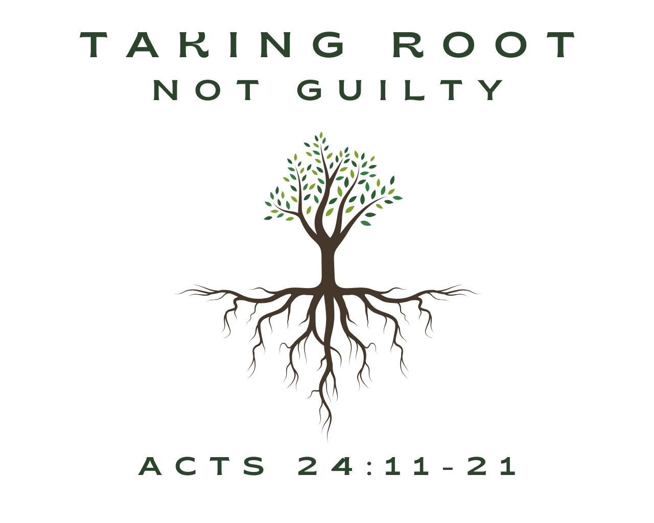 August 4th, 2024 - Taking Root: Not Guilty 