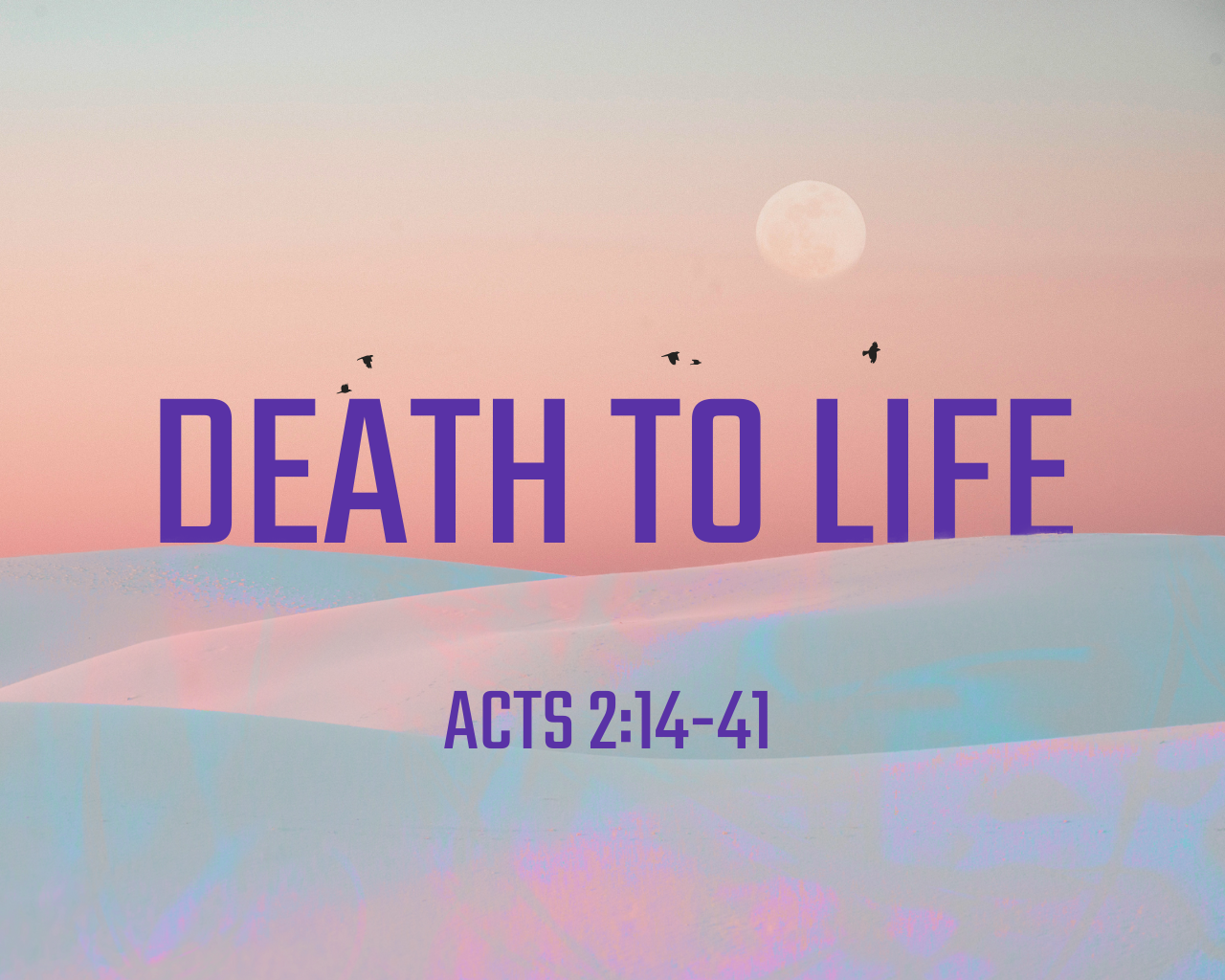 April 20th, 2025 - Death to Life 