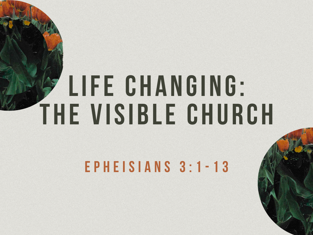 February 8th, 2026 - Life Changing: The Visible Church 
