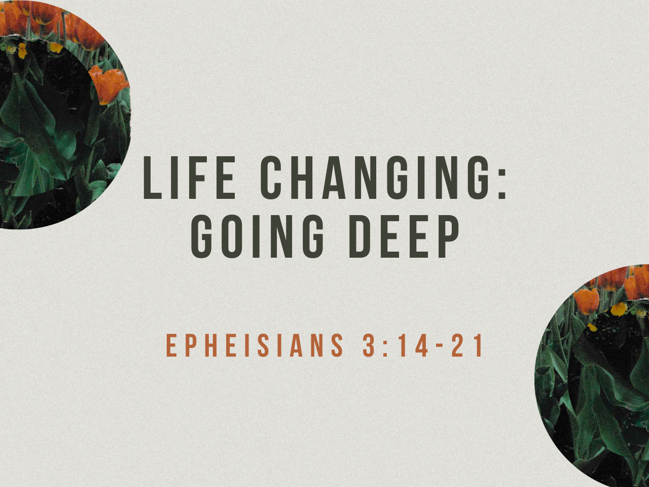 February 15th, 2026 - Life Changing: Going Deep