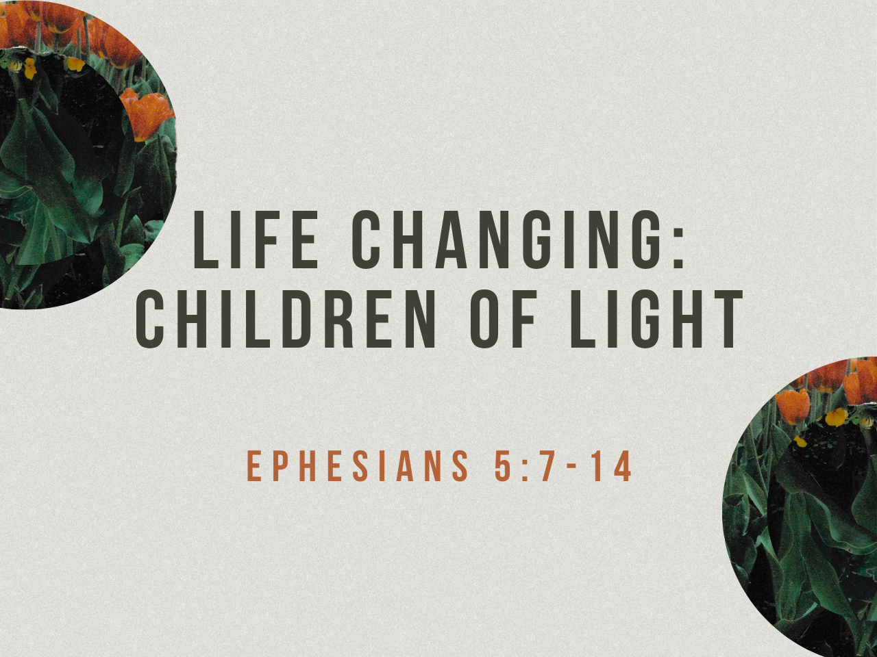 March 29th, 2026 - Live Stream - Life Changing: Children of Light 
