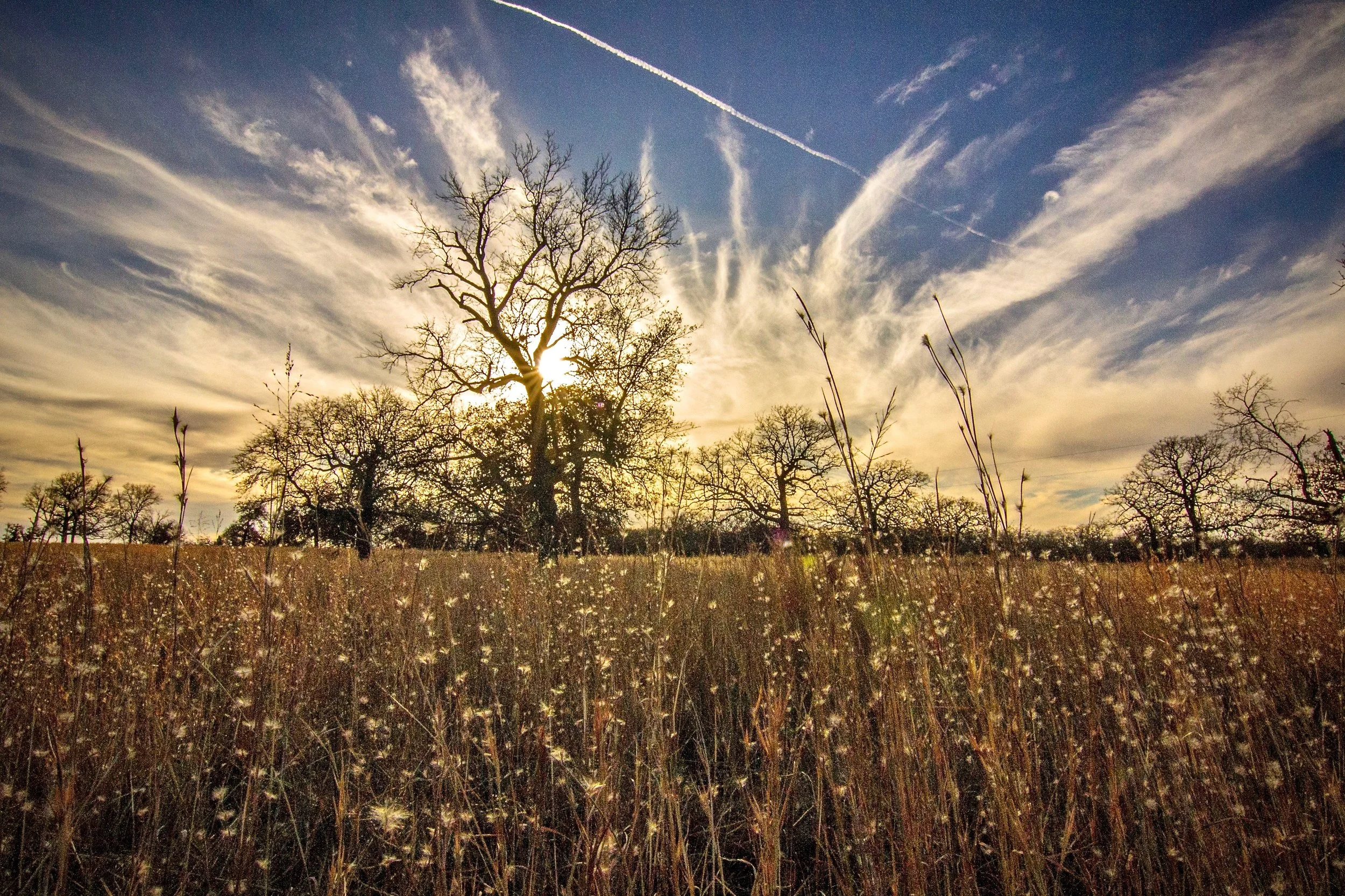 Woolaroc Meadow Sunset