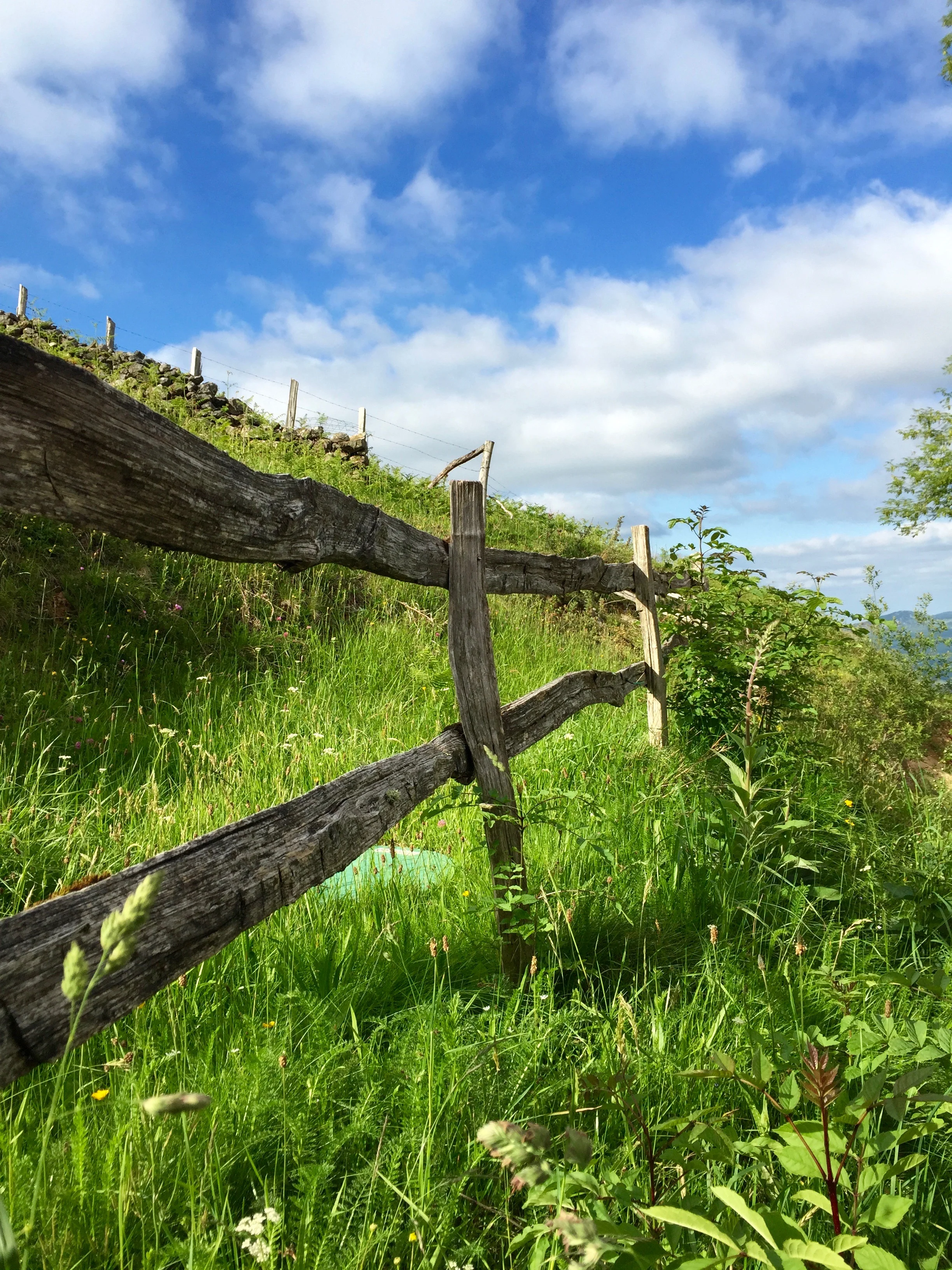 Meadow Fence in the Pyrenees
