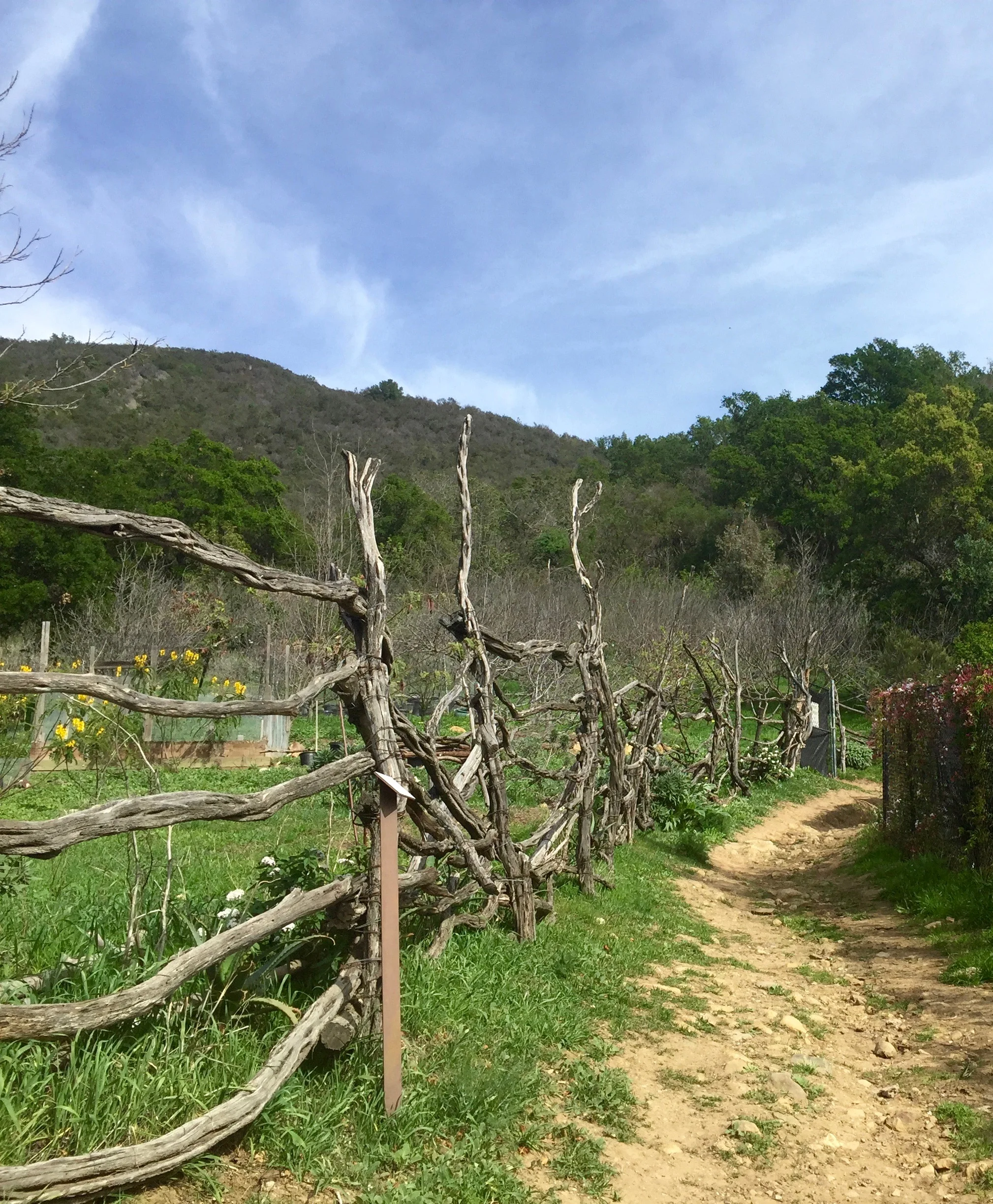 California Fence