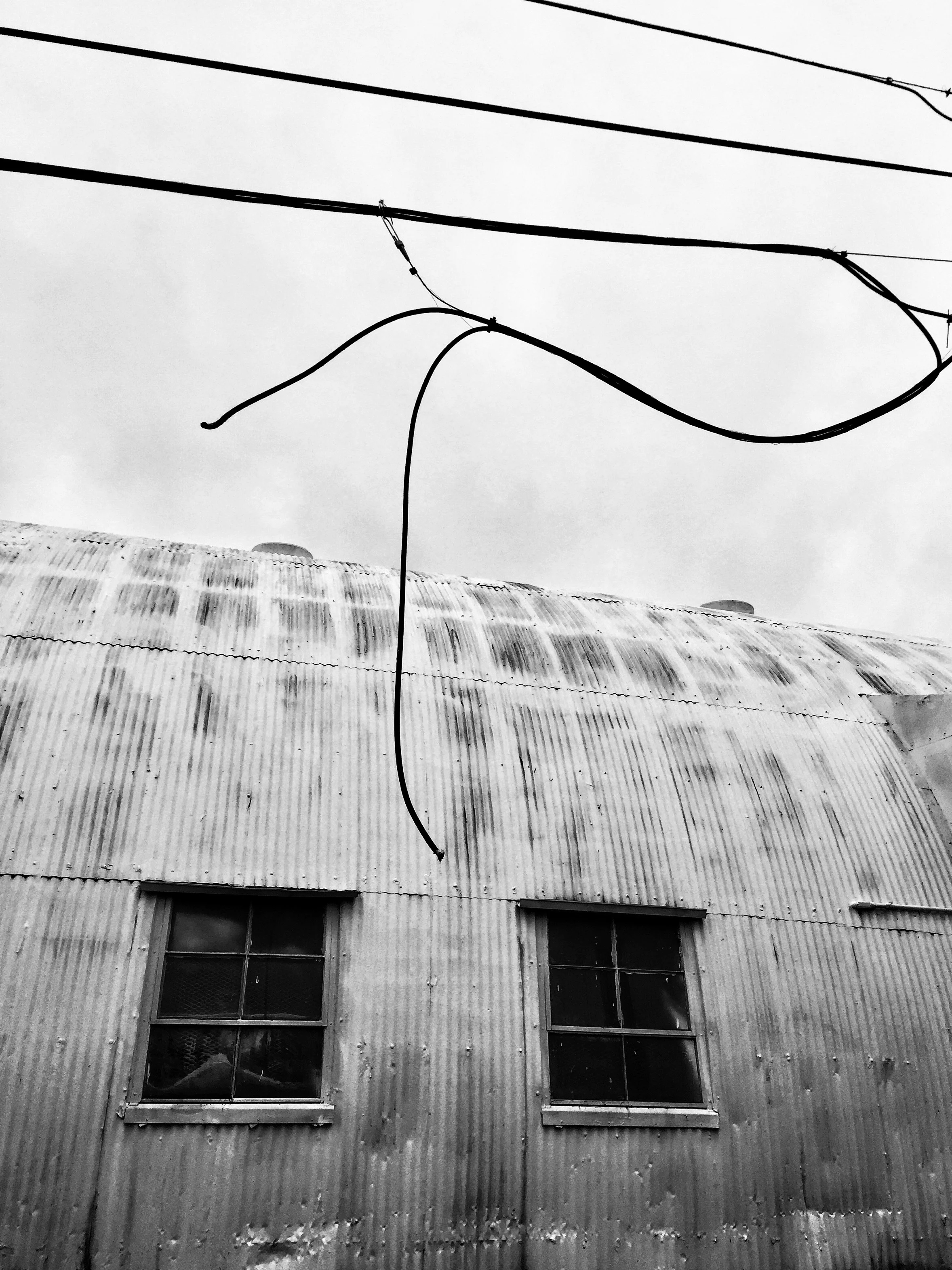 Wires - Black and White