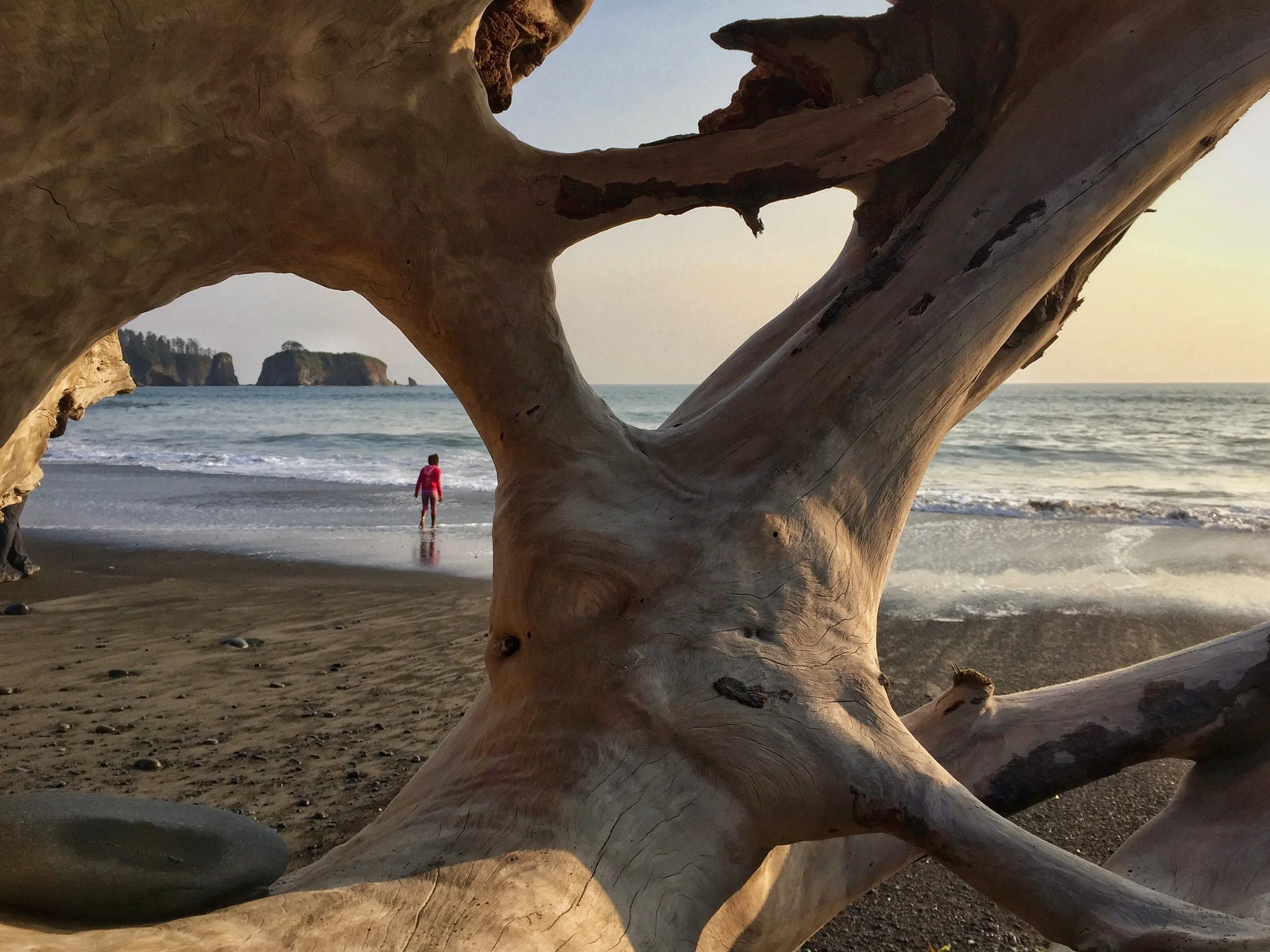 Tree Bones Frame