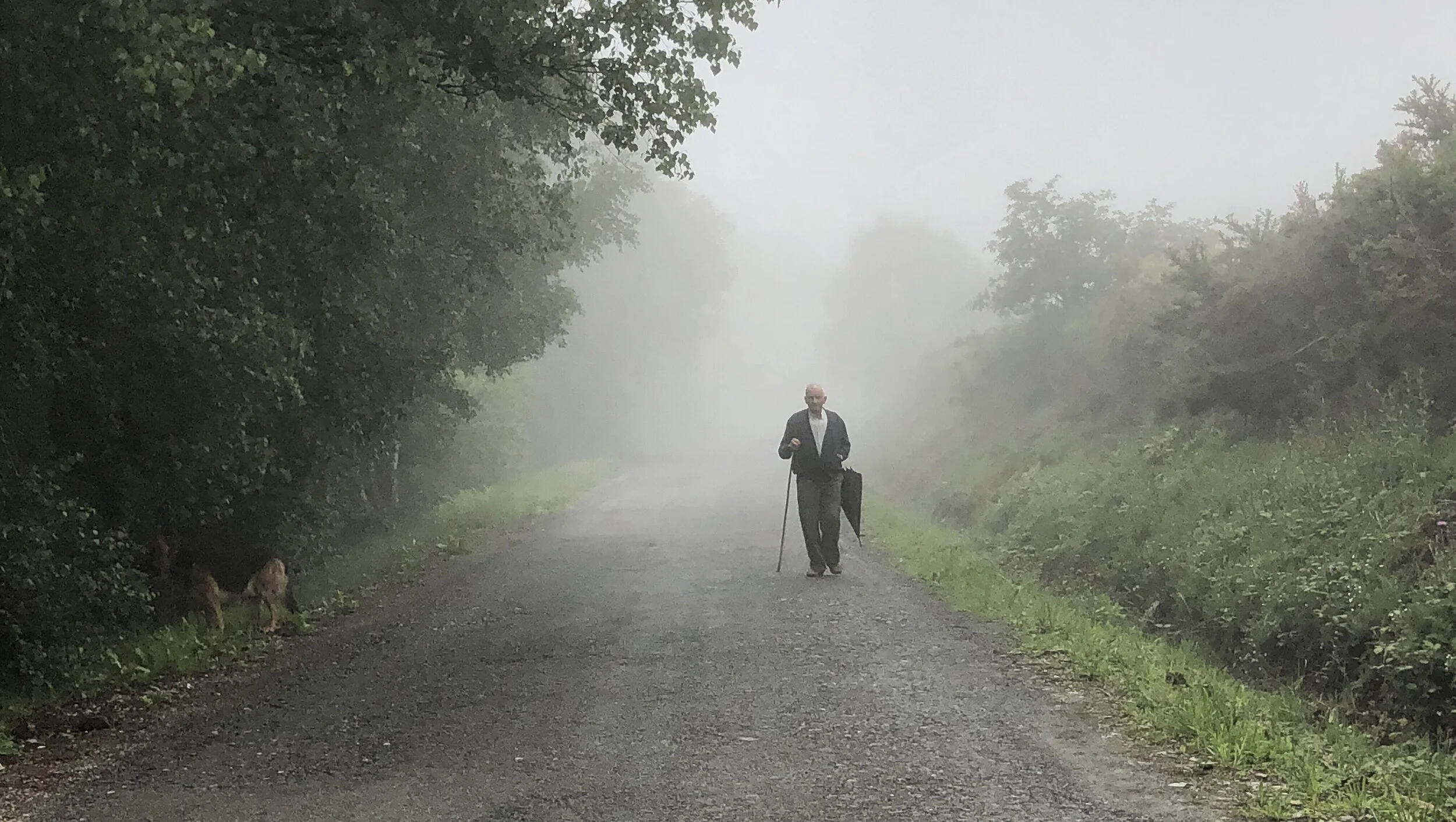 Old Man in the Mist (Copy)