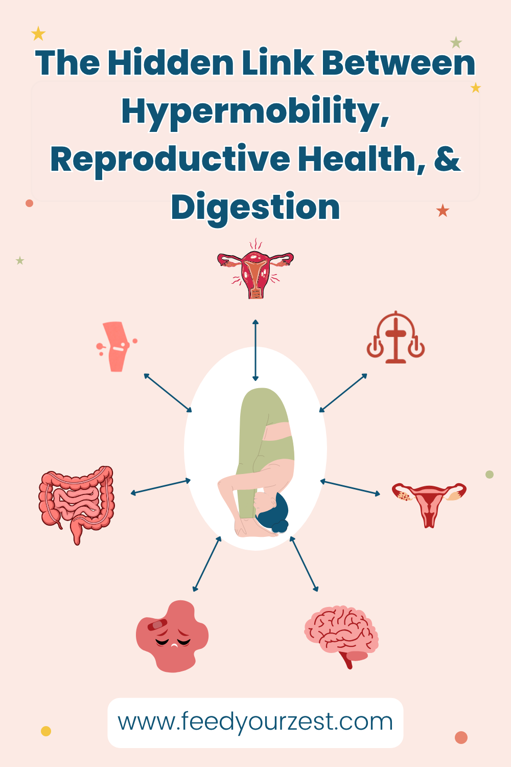 The Hidden Link Between Hypermobility, Reproductive Health, and Digestion