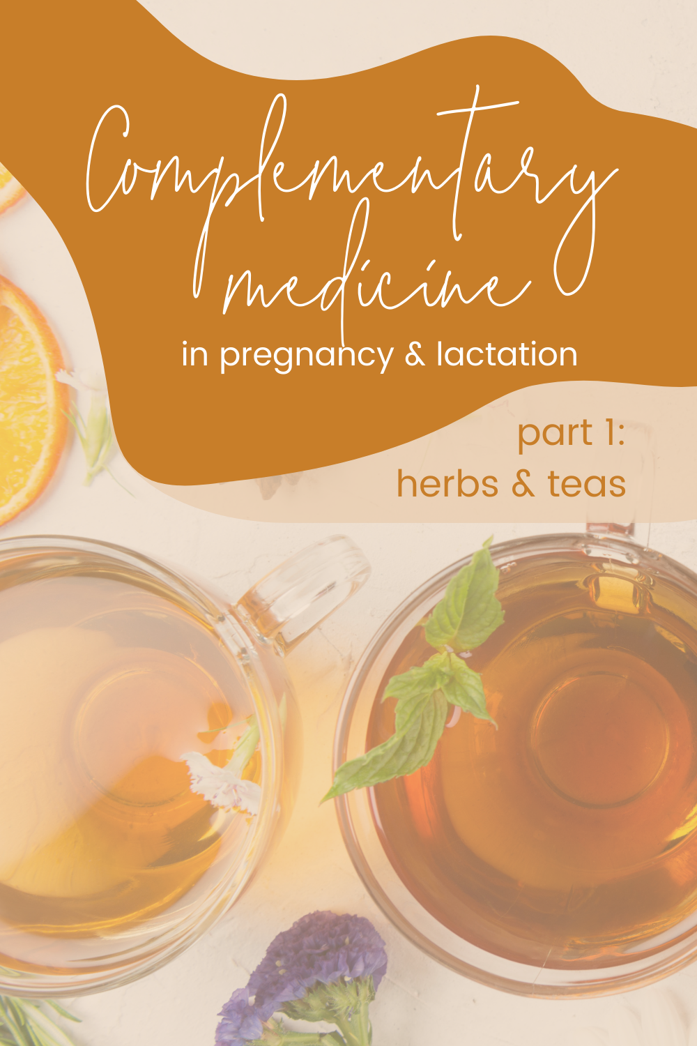Complementary Medicine in Pregnancy & Lactation – Part 1: Herbs & Teas ...