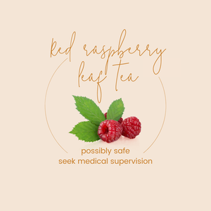 Complementary Medicine in Pregnancy & Lactation – Part 1: Herbs & Teas ...